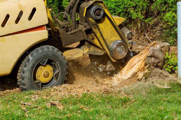 Lawn Drainage Solutions in Shallotte, NC