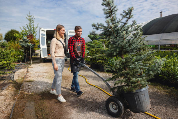 Best Seasonal Cleanup (Spring/Fall)  in Shallotte, NC